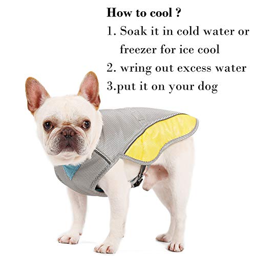 Danigrefinb Chaleco Perro, Chaleco de Verano para Mascotas, Chaleco de enfriamiento para prevención de Golpes de Calor, Chaqueta para Cachorro, Ropa refrigerante para Perro