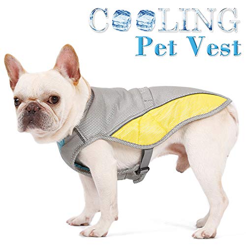 Danigrefinb Chaleco Perro, Chaleco de Verano para Mascotas, Chaleco de enfriamiento para prevención de Golpes de Calor, Chaqueta para Cachorro, Ropa refrigerante para Perro