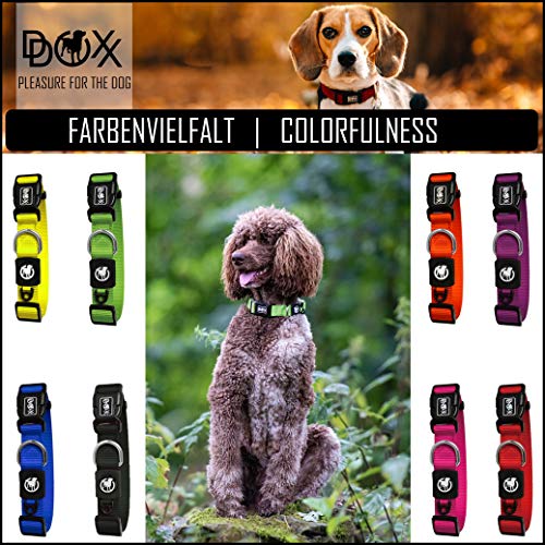 DDOXX Collar Perro Nylon, Ajustable | Diferentes Colores & Tamaños | para Perros Pequeño, Mediano y Grande | Collares Accesorios Gato Cachorro | Amarillo, XS