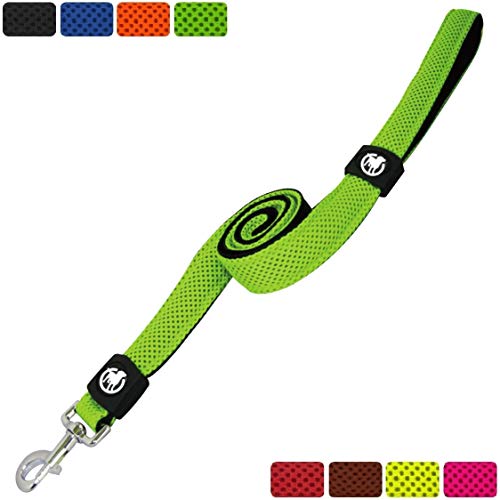 DDOXX Correa Perro Air Mesh, Acolchado, Lazo de Mano, 120 cm | Diferentes Colores & Tamaños | para Perros Pequeño, Mediano y Grande | Accesorios Gato Cachorro | Verde, M