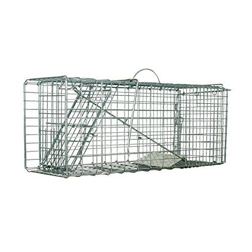 Defenders Animal Trap Cage - (Trampa humana fácil de instalar para conejos, gatos y fauna silvestre de tamaño similar, apta para uso en interiores y exteriores) - Tamaño grande