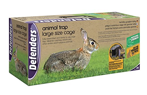 Defenders Animal Trap Cage - (Trampa humana fácil de instalar para conejos, gatos y fauna silvestre de tamaño similar, apta para uso en interiores y exteriores) - Tamaño grande