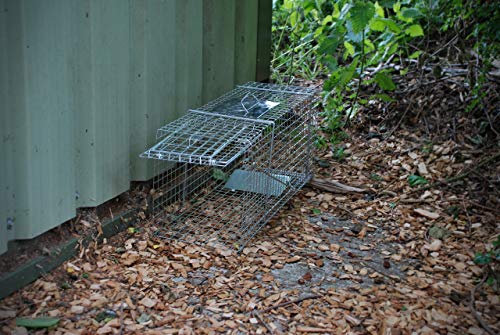 Defenders Animal Trap Cage - (Trampa humana fácil de instalar para conejos, gatos y fauna silvestre de tamaño similar, apta para uso en interiores y exteriores) - Tamaño grande