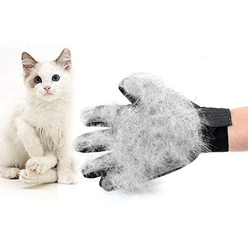 Detazhi 1pc preparación del Animal doméstico Guante Guante Perro Mascota Cepillo del Masaje Mitt 259 Tema Espalda Abierta Zonas Medias de Pelo, Negro (Size : Right Hand)