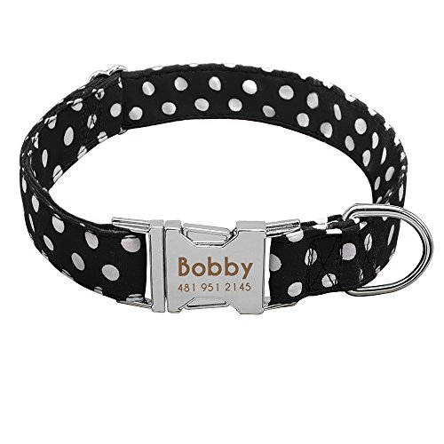 Didog Collar para Perro con Grabado Personalizado, Nailon Suave con Hebilla de liberación rápida de Acero Inoxidable, Collar para Perro con Placa de identificación, para Perros pequeños y medianos