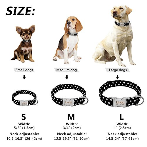 Didog Collar para Perro con Grabado Personalizado, Nailon Suave con Hebilla de liberación rápida de Acero Inoxidable, Collar para Perro con Placa de identificación, para Perros pequeños y medianos