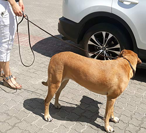 DINGO Correa de Piel Suave Mango Trenzado, Hecha a Mano, para exposiciones de Perros