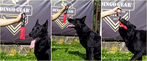 Dingo Gear - Remolcador para Entrenamiento de Perros