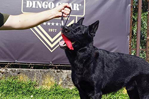 Dingo Gear - Remolcador para Entrenamiento de Perros