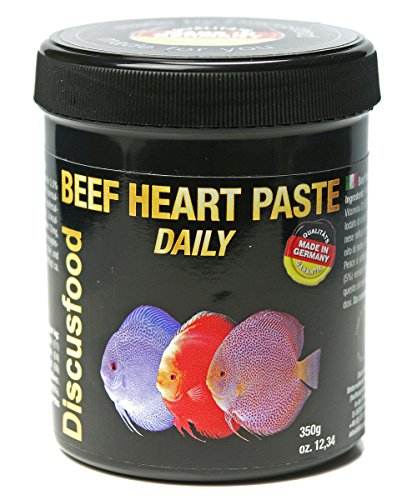 Discusfood Comida Peces Pasta Corazón Ternera Beef Heart Paste Daily 125g