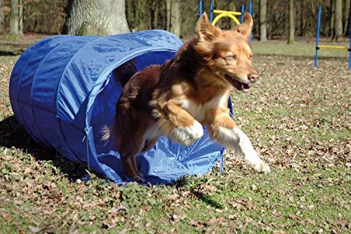 dobar 50810 Agility - Túnel para Deportes de Perro, 500 cm de Largo, Plegable, Azul