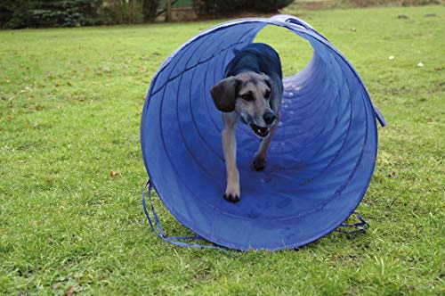 dobar 50810 Agility - Túnel para Deportes de Perro, 500 cm de Largo, Plegable, Azul