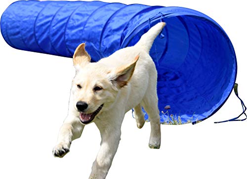 dobar 50810 Agility - Túnel para Deportes de Perro, 500 cm de Largo, Plegable, Azul