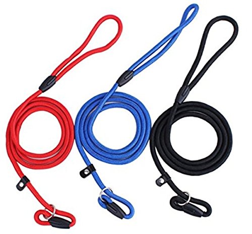 Doitsa - 3 cadenas para perros, correa de nailon, correas para perros, suministros para mascotas, 3 colores