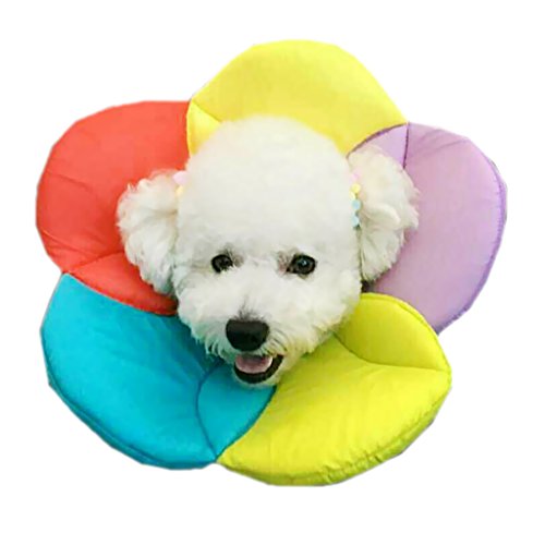 Dolity Cuello Redonda Suave Complimentos Evitar Mascotas Rasquen Muerdan Duradero - Multicolor, L