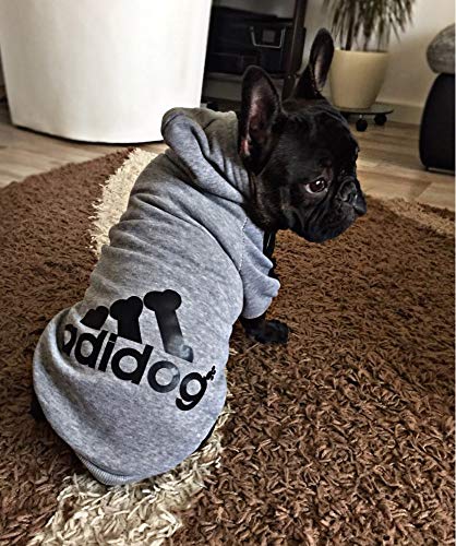 Ducomi Adidog - Sudadera con Capucha para Perros en Algodón Suave - Costuras Resistentes - Disponibles de XS a 8XL - Se envía Desde España (5XL, Gris)