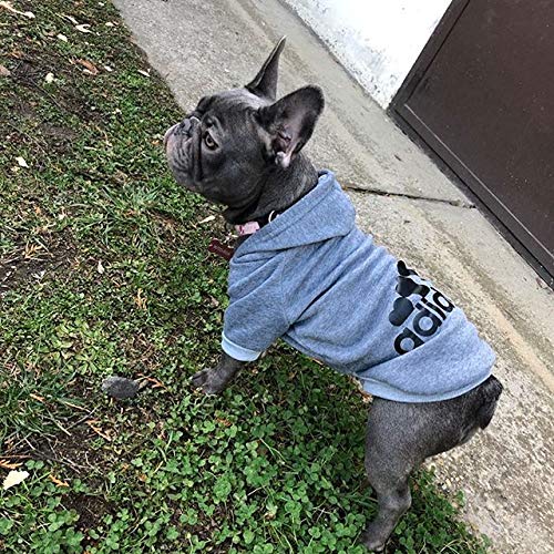 Ducomi Adidog - Sudadera con Capucha para Perros en Algodón Suave - Costuras Resistentes - Disponibles de XS a 8XL - Se envía Desde España (5XL, Gris)