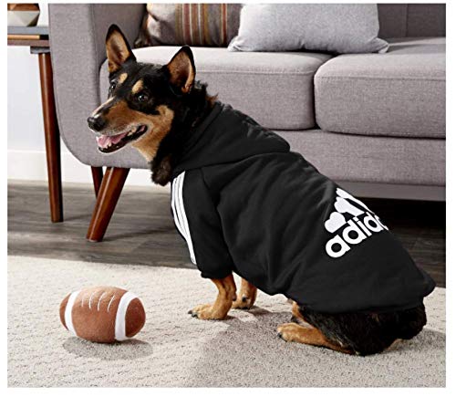 Ducomi Adidog - Sudadera con Capucha para Perros en Algodón Suave - Costuras Resistentes - Disponibles de XS a 8XL - Se envía Desde España (L, Negro)