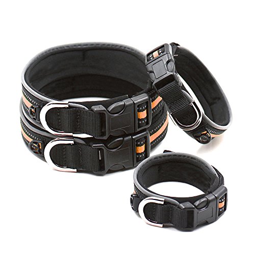 Dxlta Collar de Mascota con Tira Reflectante Nylon Ajustable para Mascotas Gato Perro Seguridad Nocturna