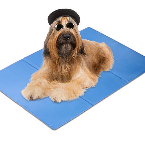 Ellie-Bo XXL - Alfombrilla de Gel para Perros (Apta para Caja de Perro 61 cm, tamaño XXL)