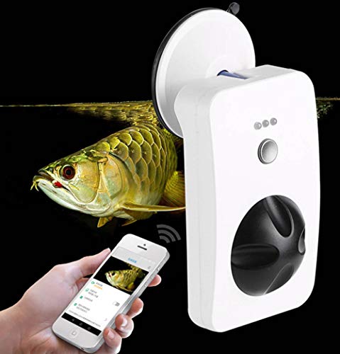 EP-Camera Cámara de Seguridad 1080P, cámara de vigilancia remota para Smartphone con Tanque de Peces de Acuario