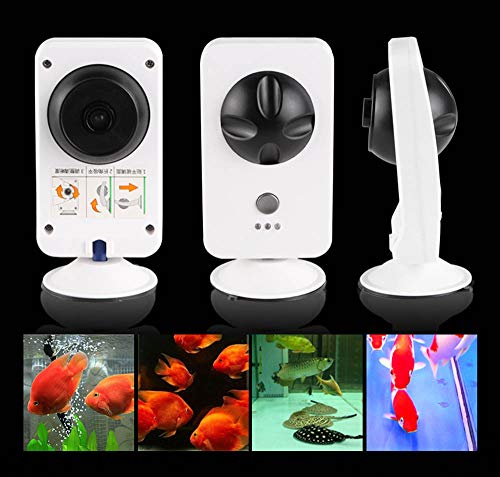 EP-Camera Cámara de Seguridad 1080P, cámara de vigilancia remota para Smartphone con Tanque de Peces de Acuario