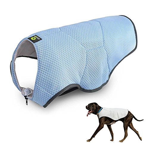 EQDOG 361-223 Chaleco Refrescante Cool Dog Azul, XS