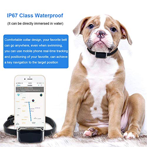 Faderr Pet rastreador GPS con Cuello Ajustable, IP67 Impermeable Smart Positioning Collar GPS Tracking Collar con Indicador gsm Señal para Perros y Gatos