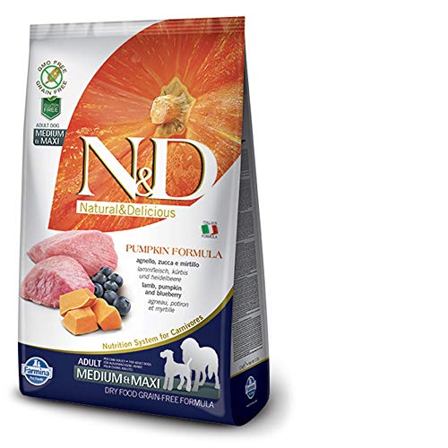 Farmina - Farmina N&D Calabaza y Cordero Adult Medium & Maxi Grain Free - 2351 - 2,5 kg