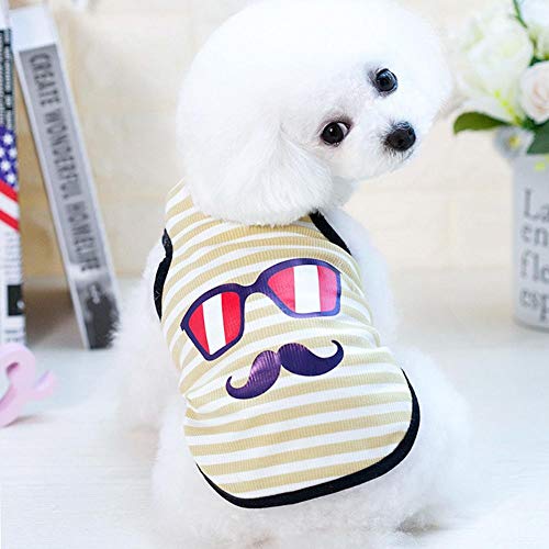 favourall Chaleco refrigerante para Perros, Mascotas, Camiseta de Verano para Perros, Gatos y Otros Animales domésticos, Blau M