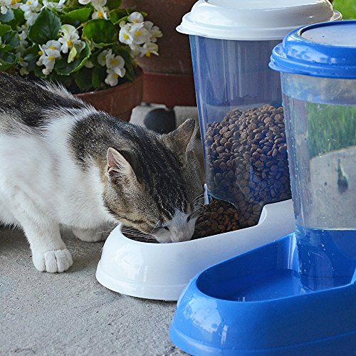 Ferplast Dispensador de comida seca o croquetas para perros y gatos 3 litros ZENITH, Depósito transparente con tapa, Base antideslizante, 20,2 x 29,2 x h 28,8 cm Azul marino