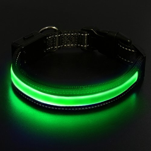 Focuspet Collar LED para Perros, Collar de Collar Luminoso para Perros con LED USB y Collar de Seguridad para Cuello y Collar Ajustable.38-48cm Verde M