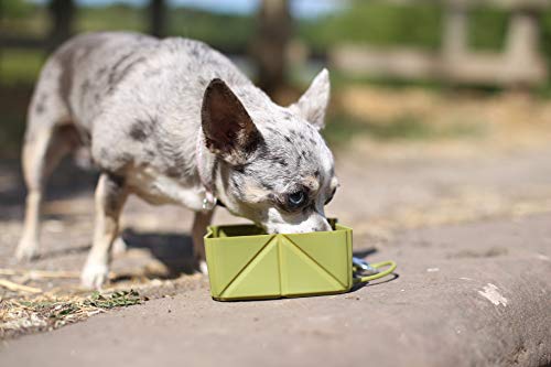 FOLDABOWL - Cuenco de Viaje para Perro Cuenco Plegable portátil con Clip de caribena, para Caminar, Senderismo y Camping con Perros