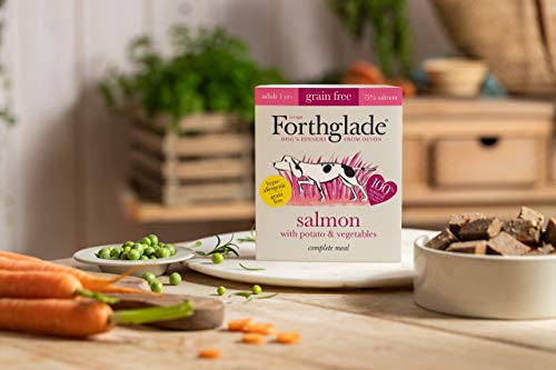 Forthglade Salmón para Adultos con Patata y verdura, Grano Gris, 18 x 395 g