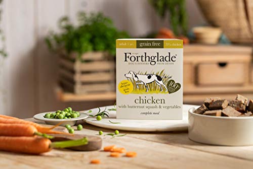 Forthglade Salmón para Perros Adultos, Pollo con Calabaza y Verduras, Grano Gris - 18 x 395 g