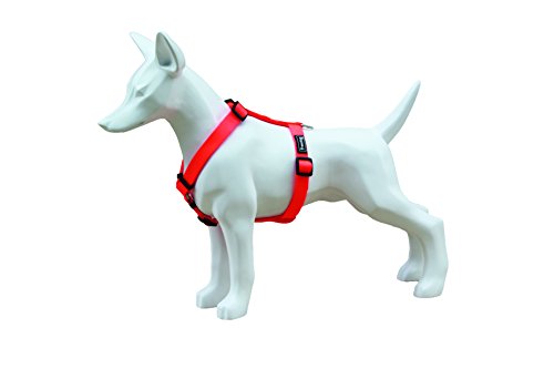 Freedog FD4002036 - Arnés Nylon neón, para Perro, Naranja flúor