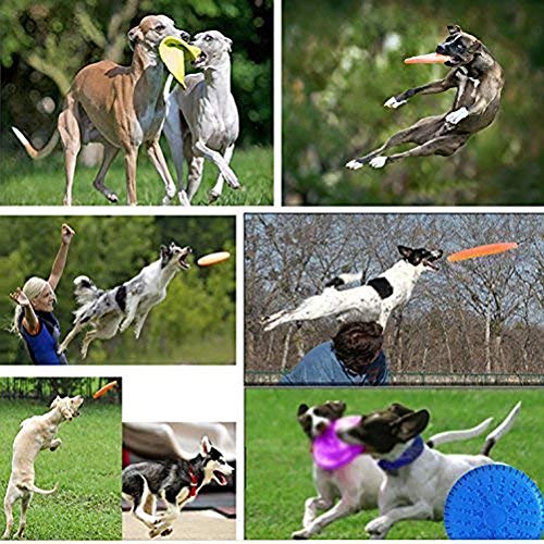 Frisbee Perro, No Tóxico Goma Frisbee De Caucho, Ligero Y Duradero, Surtido De Disco Que Vuela para Jugar Al Aire Libre,Azul,23cm