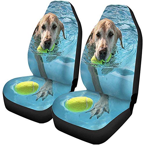 Fundas para asientos de coche Perro Labrador amarillo en piscina pública local Azul Verano Accesorios para automóviles Protectores Universal