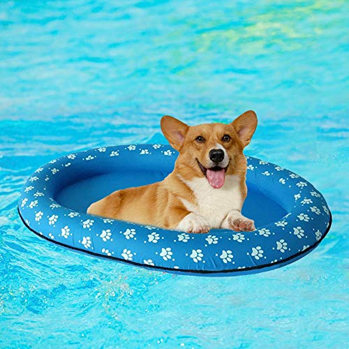 Funihut - Piscina Flotante para Perros, Piscina, Juguete Flotante para Animales de compañía, Piscina, Juguete Hinchable de Playa para el Gato, baño para Perro/Gato, Animal Exterior o Interior