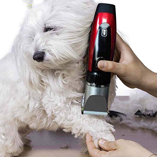 FXQIN Maquinilla Recargable para Cortar Pelo de Perros para Mascota Gato,Cortapelos Perros de Pelo Largo con 4 Peines, Bajo Ruido y Vibración Máquina Cortar Pelo Inalámbrico y Recargable