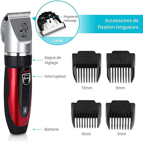 FXQIN Maquinilla Recargable para Cortar Pelo de Perros para Mascota Gato,Cortapelos Perros de Pelo Largo con 4 Peines, Bajo Ruido y Vibración Máquina Cortar Pelo Inalámbrico y Recargable