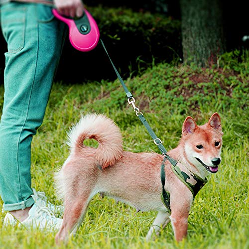 Galaxer Correa para Perros, 5M Mascota Correa Retractil de Nylon para Perro Correa Extensible con un Botón de Rotura y Bloqueo y Cómodo Agarre de la Man para Entrenar a Pie o Trotar (Rosa)