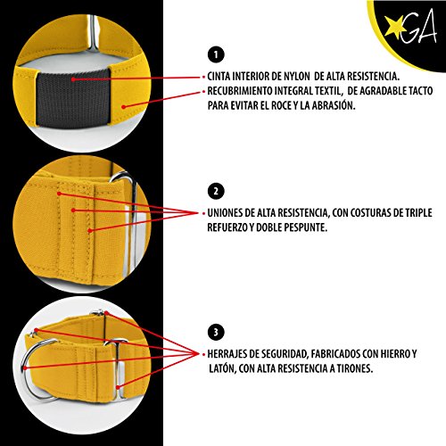 Galguita Amelie Collar Antiescape Furgonetas,Turquesa