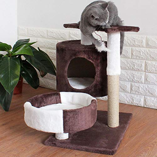 gengxinxin para Gatos con Árbol para Gatos Gatos Rascador con Four Seasons Cat Crawlcat Nest Cat Tree Solid Wood Un Estante para Gatos Pequeño Holding Column Board con Nest Jump Cat House-Light Grey