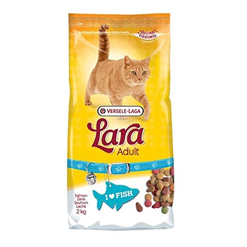 Global Pienso para Gatos 2 kgs | Comida para Gatos Lara con salmón | Alimento seco para Gatos