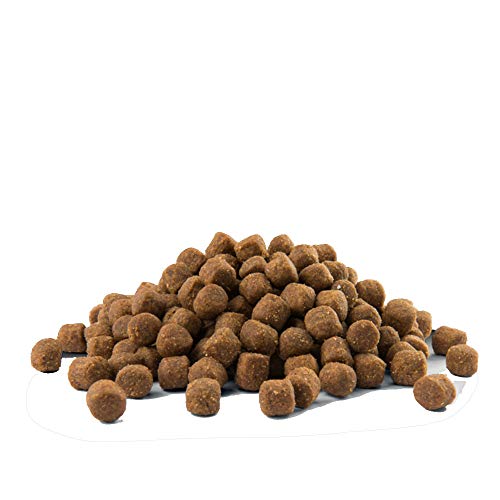 Global Pienso para Perros OPTI Life Puppy Medium con Pollo y arroz | Pienso para Cachorros de Raza Mediana Versele Laga | Comida para Perros 12,5 kgs