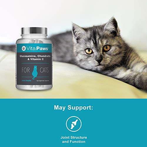 Glucosamina, Condroitina y Vitamina C para Gatos - ¡Bote para 4 meses! - 120 Cápsulas - VitaPaws