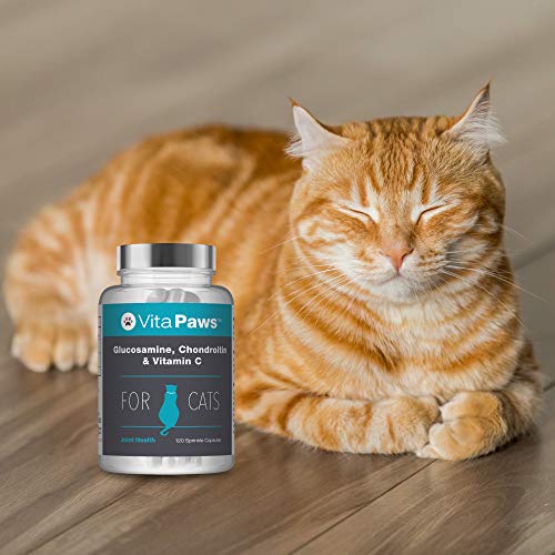 Glucosamina, Condroitina y Vitamina C para Gatos - ¡Bote para 4 meses! - 120 Cápsulas - VitaPaws