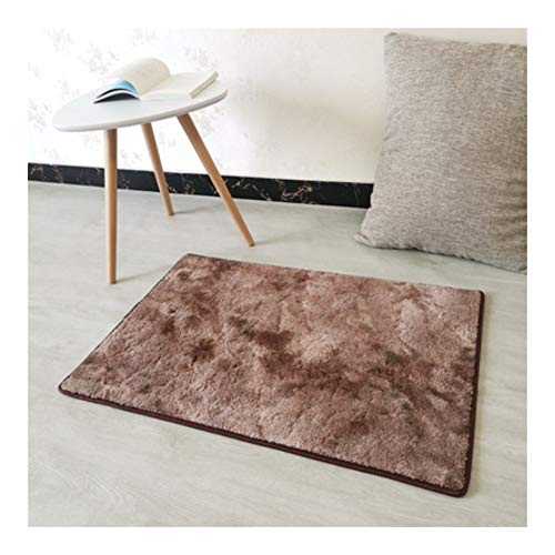 Gu3Je Antideslizante De Agua Interior Absorbente De Puerta Cojín De La Estera De Vacío Lavable (Color : Brown, Size : 80x160cm)