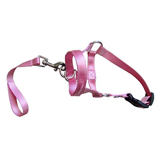 Gulunmun Arnés Ajustable Cinturón Líder Suave para Bozal de Collar de Perro Collar de Cabeza de Halter de Perro Correa de Entrenamiento Líder Sin Tirantes Mordidas Correas, Aleatorio, Color, S